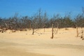 2014 06 13 Oleron (211)